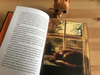 Hunter Erin pakiet 3x Wojownicy - Koty / Ucieczka / Ogień / Las / twarde ilustrowane