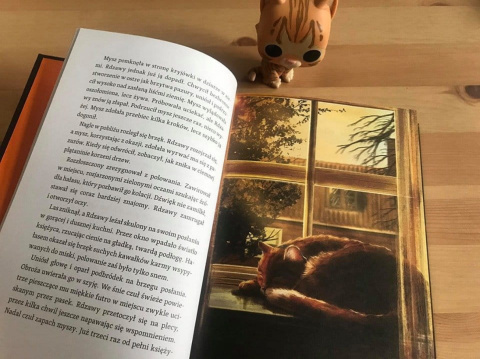 Hunter Erin pakiet 3x Wojownicy - Koty / Ucieczka / Ogień / Las / twarde ilustrowane