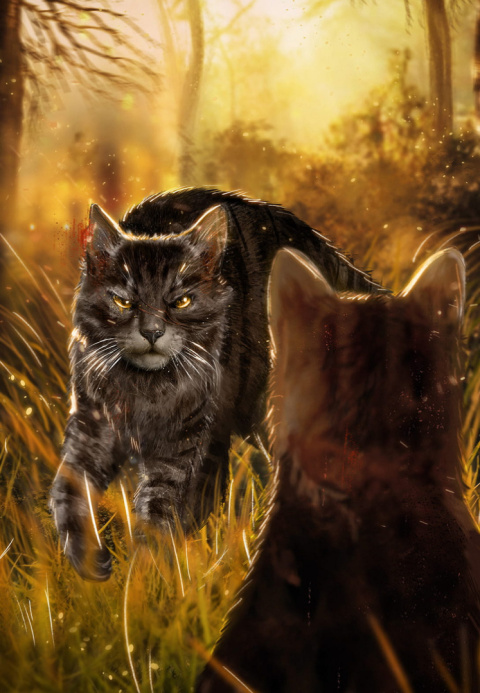 Hunter Erin pakiet 3x Wojownicy - Koty / Ucieczka / Ogień / Las / twarde ilustrowane