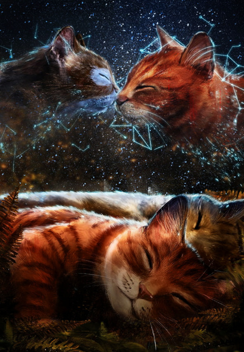 Hunter Erin pakiet 3x Wojownicy - Koty / Ucieczka / Ogień / Las / twarde ilustrowane