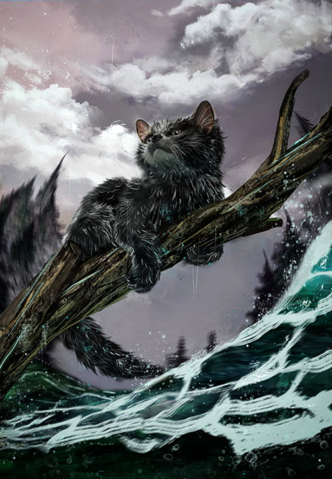 Hunter Erin pakiet 3x Wojownicy - Koty / Ucieczka / Ogień / Las / twarde ilustrowane